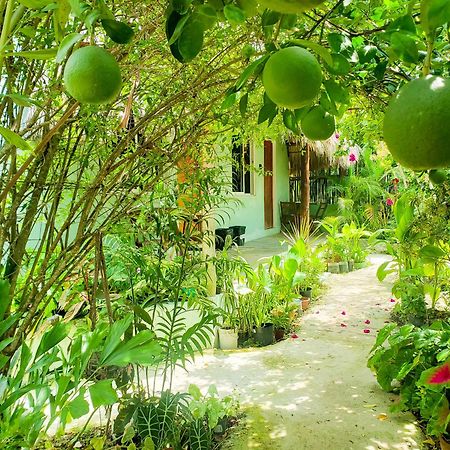 Las Palmas Bacalar Exteriör bild